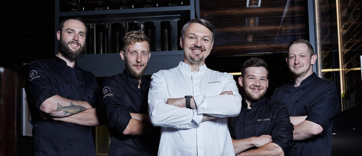 Ammolite_Team