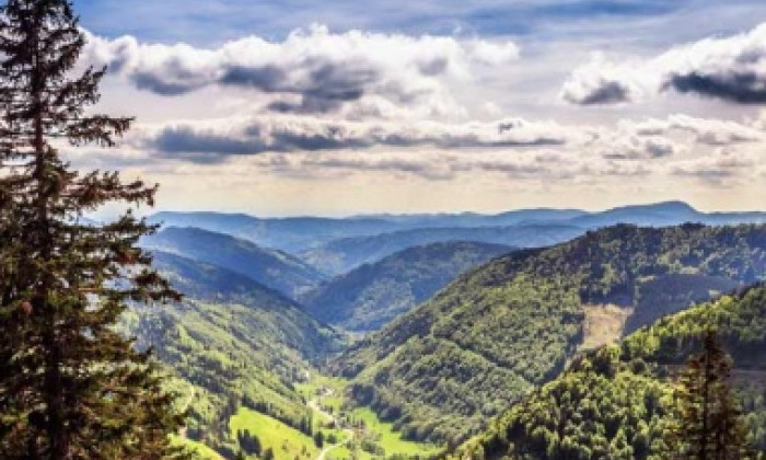 Panoramablick in den Schwarzwald